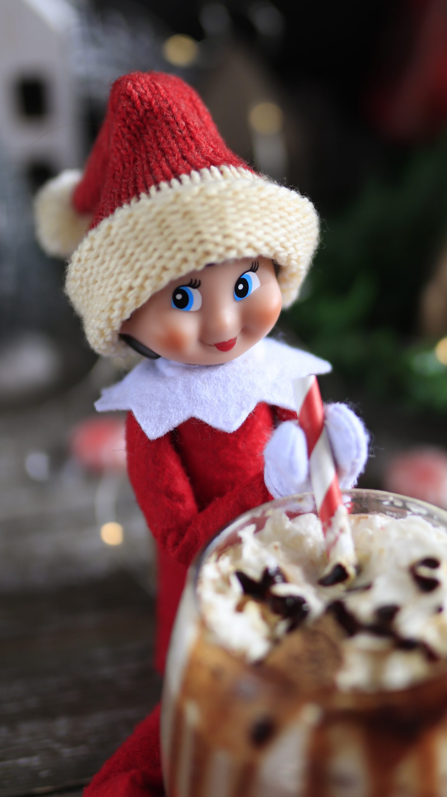 elf-on-the-shelf-2024-11-27-11-29-14-utc